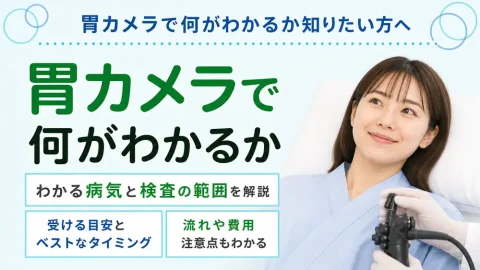 胃カメラで何がわかるのか!わかる病気の一覧と検査前に知っておきたい基礎知識を解説