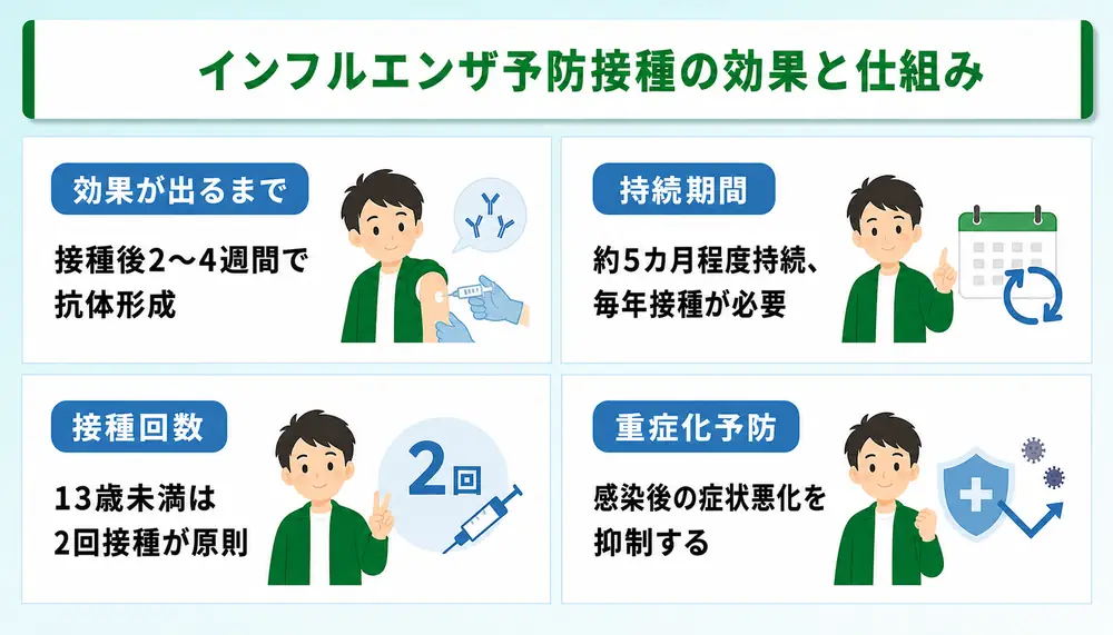 インフルエンザ予防接種の効果と仕組み